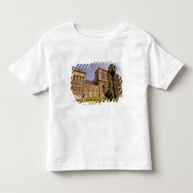 Camiseta Infantil Europa, Oriente Médio, Istambul. O Bósforo, (Frente)