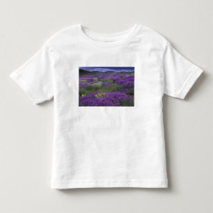 Camiseta Infantil Europa, Turquia, Capadócia. Paisagem rural 2