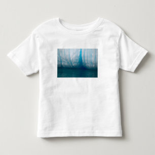 Camiseta Infantil Exibindo icebergs em azul no canal Errera