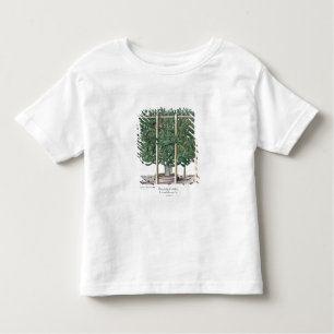 Camiseta Infantil Eystettensis indica do Ficus, 'do Hortus Eystet