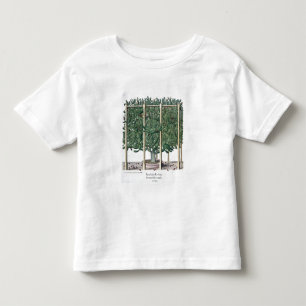 Camiseta Infantil Eystettensis indica do Ficus, 'do Hortus Eystet