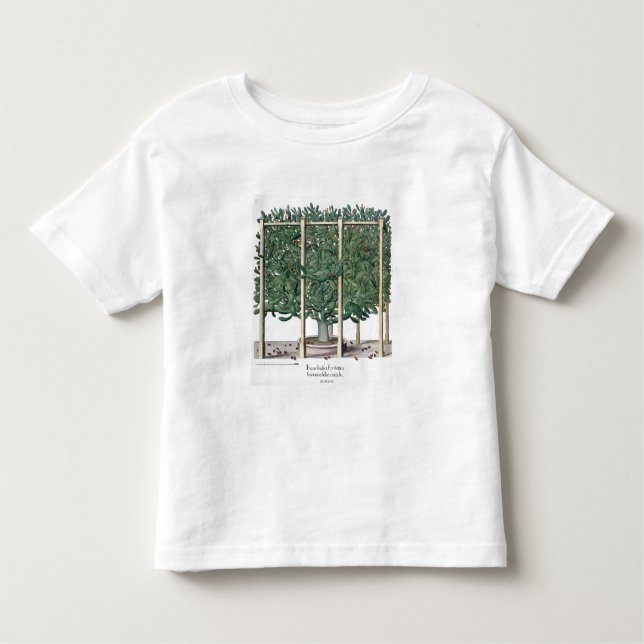 Camiseta Infantil Eystettensis indica do Ficus, 'do Hortus Eystet (Frente)