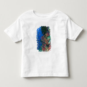 Camiseta Infantil Fadas-besugos (Pseudanthias