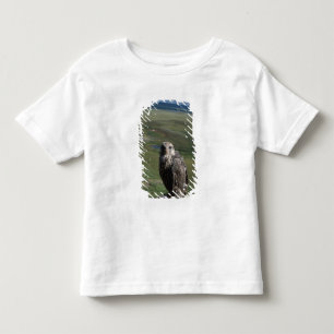 Camiseta Infantil falcão-gerifalte, Falco rusticolus, juvenil