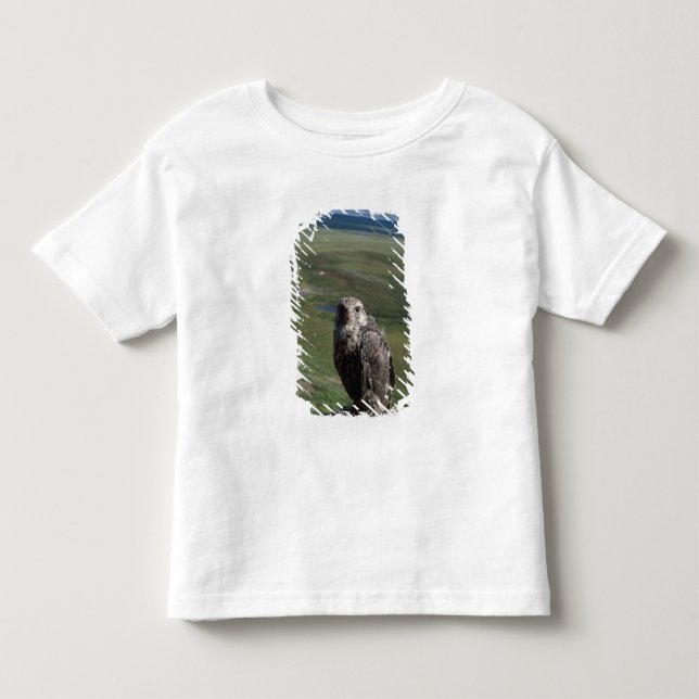 Camiseta Infantil falcão-gerifalte, Falco rusticolus, juvenil (Frente)