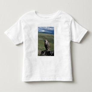 Camiseta Infantil falcão-gerifalte, Falco rusticolus, juvenil