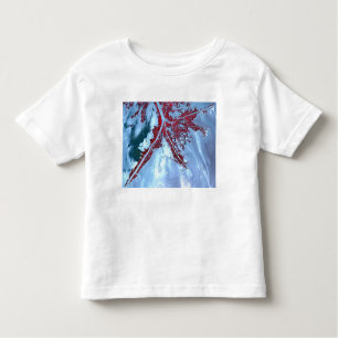 Camiseta Infantil Falsa cor satélite