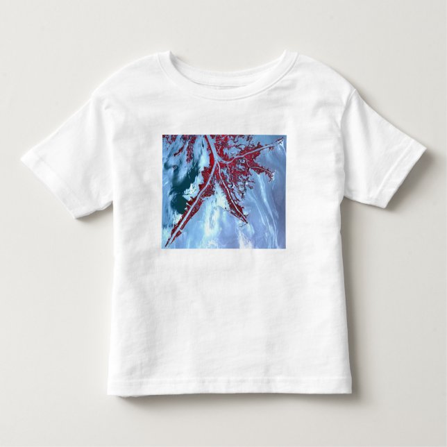 Camiseta Infantil Falsa cor satélite (Frente)