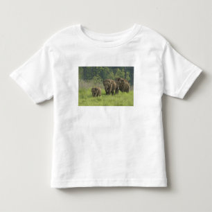 Camiseta Infantil Família de Elefantes Indianos