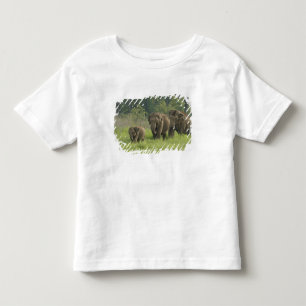 Camiseta Infantil Família de Elefantes Indianos