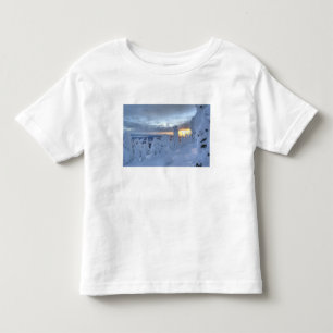 Camiseta Infantil Fantasmas de neve ao pôr do sol na Whitefish Mount