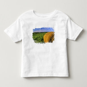 Camiseta Infantil Fardos de Feno perto de Bottineau Dakota do Norte