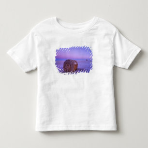 Camiseta Infantil Fardos de Palha de Inverno perto de Cartwright Nor