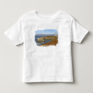 Camiseta Infantil Farol de Cabeça de Yaquina em Newport Oregon