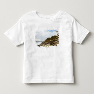 Camiseta Infantil Farol do ponto de Pemaquid em um montanhês rochoso