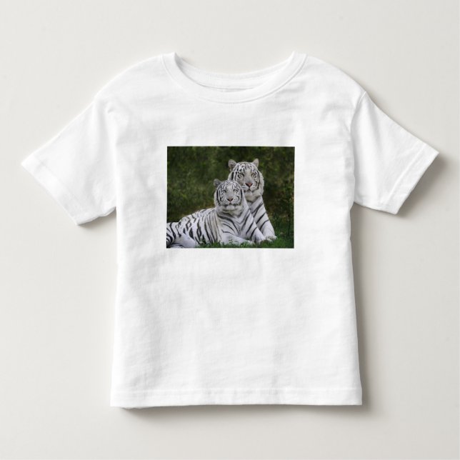 Camiseta Infantil Fase branca, Tigre de Bengala, Tigre (Frente)