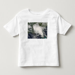 Camiseta Infantil Fay tropical 3 da tempestade