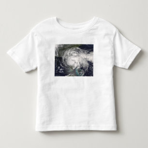 Camiseta Infantil Fay tropical 4 da tempestade