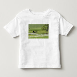 Camiseta Infantil Fazenda Amish com cavalo e carruagem perto de Berl