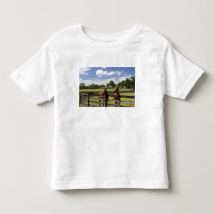 Camiseta Infantil Fazenda de cavalos puro-sangue no Condado de Mario