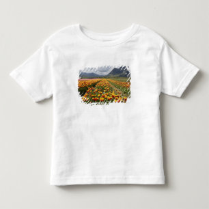 Camiseta Infantil Fazenda Tulip perto de Agassiz, Colúmbia Britâni