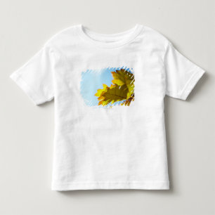 Camiseta Infantil Feche acima das folhas amarelas da queda