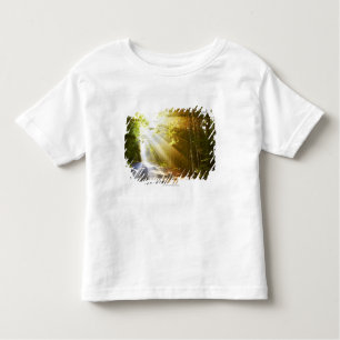 Camiseta Infantil Feixes de Sun através da floresta no parque