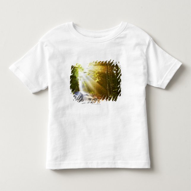 Camiseta Infantil Feixes de Sun através da floresta no parque (Frente)