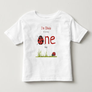 Camiseta Infantil Festa de Aniversário de um ano da Joaninha Menina
