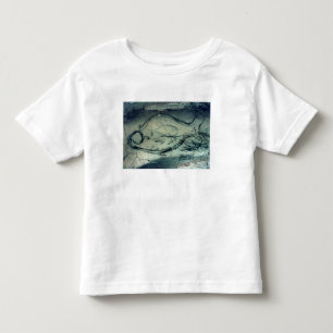 Camiseta Infantil Figura marinha, período paleolítico (c.40000-120