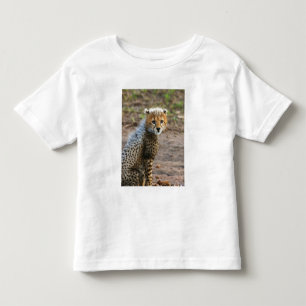 Camiseta Infantil Filhote de Guepardo Acinonyx Jubatus)