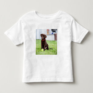 Camiseta Infantil Filhote De Labrador De Chocolate Com Bola De Têni
