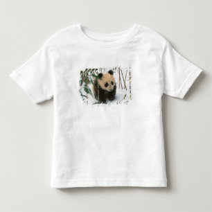Camiseta Infantil Filhote de panda na neve, Wolong, Sichuan, China