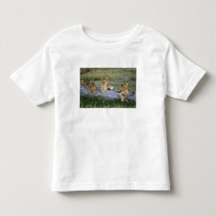 Camiseta Infantil Filhotes de Leão no Tronco