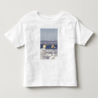 Filhotes de urso polar brincando