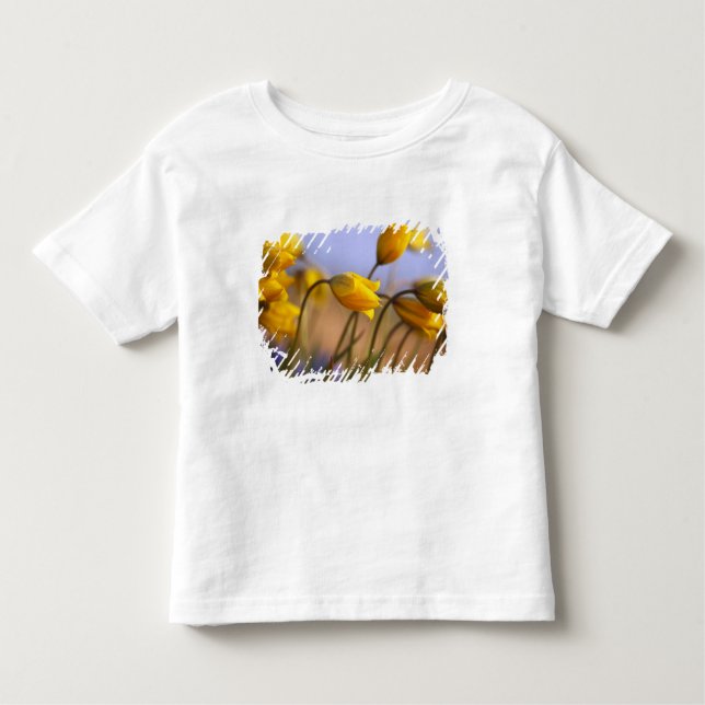 Camiseta Infantil Fim-acima dos daffodils (Frente)