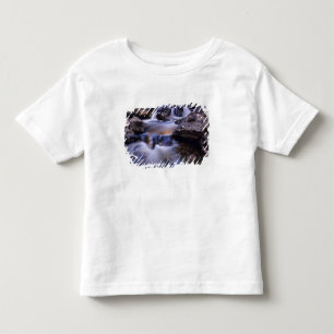 Camiseta Infantil Fish Creek Falls perto de Steamboat Springs Colora