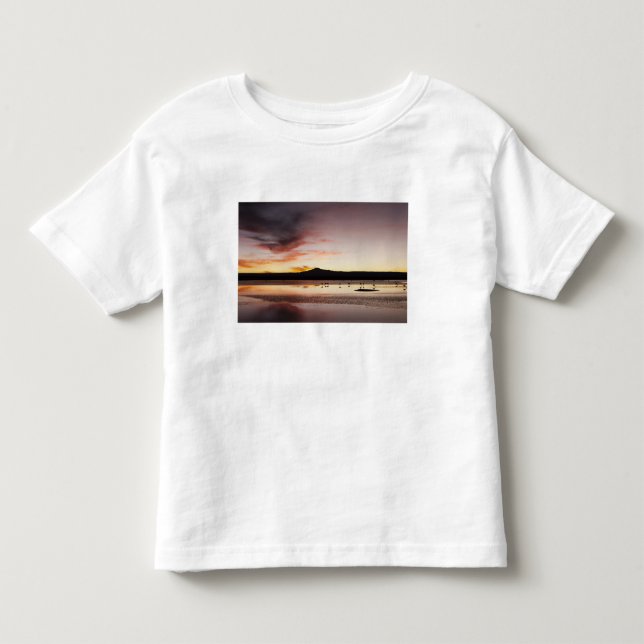 Camiseta Infantil Flamingo Chileno (Frente)