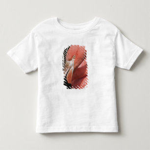 Camiseta Infantil Flamingo Chileno, Phoenicopterus chilensis