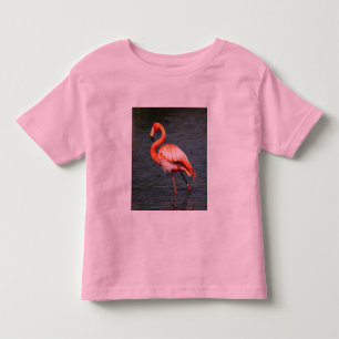 Camiseta Infantil Flamingos tropicais do destino dos pássaros da