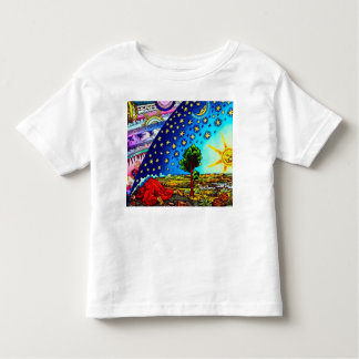 Camiseta Infantil Flammarion Dome