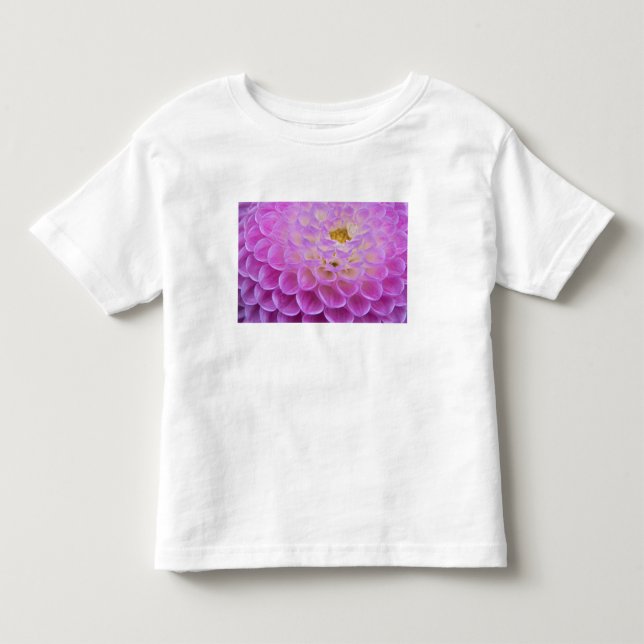 Camiseta Infantil Flor de crisântemo decorando túmulo em (Frente)