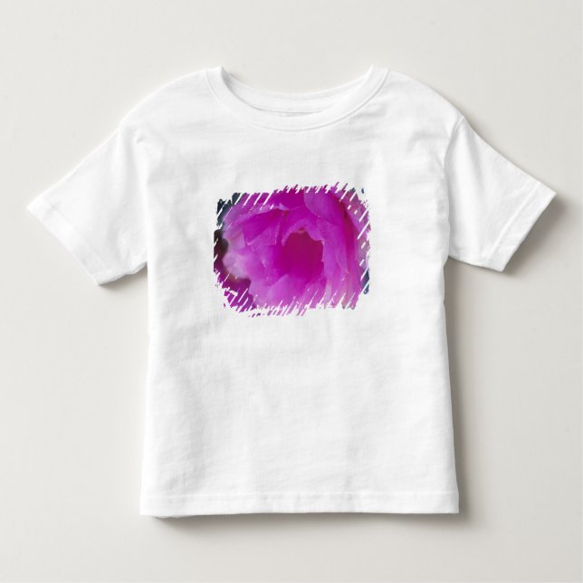 Camiseta Infantil Flor de Hedgehog Cactus rosa (Echinocereus) (Frente)