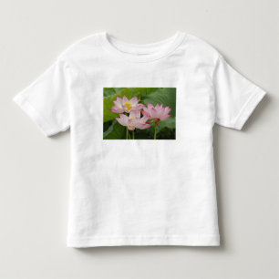 Camiseta Infantil Flor de lótus, Nelumbo nucifera, China 2