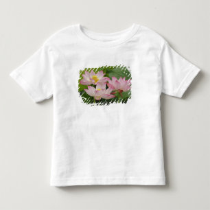 Camiseta Infantil Flor de lótus, Nelumbo nucifera, China 2