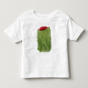 Camiseta Infantil Flor de papoula vermelha entre a cultura de trigo,