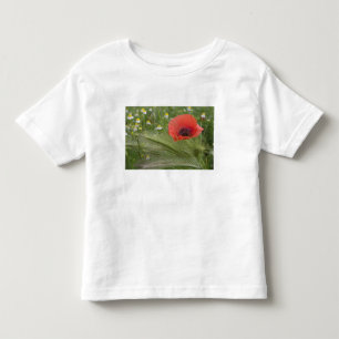 Camiseta Infantil Flor de papoula vermelha, Toscana, Itália