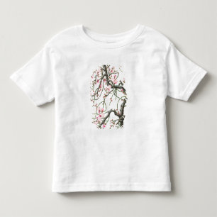 Camiseta Infantil Flor do pêssego (cor no papel)