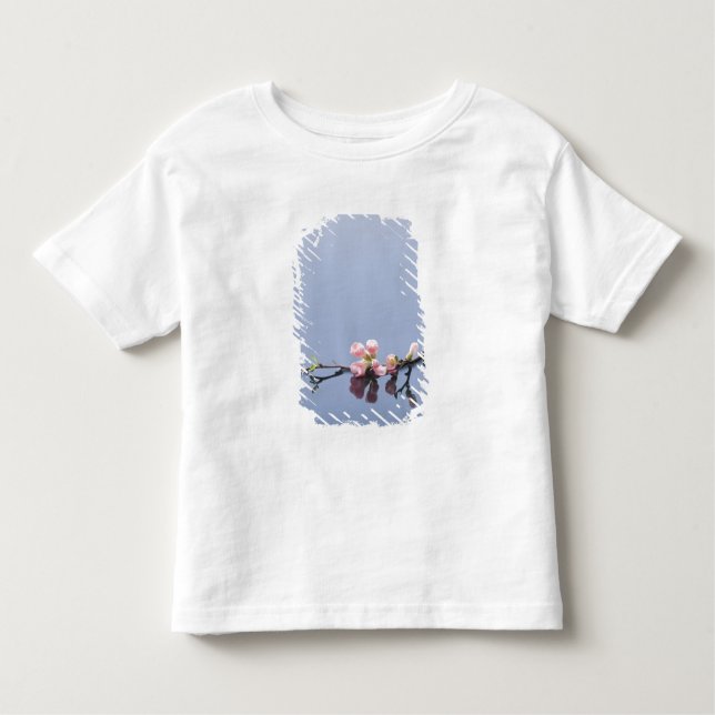 Camiseta Infantil Flores de cerejeira na água (Frente)