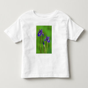 Camiseta Infantil Flores de Íris